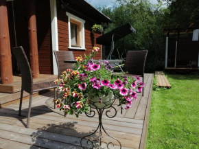 Ainja Puhkemaja, Viljandi